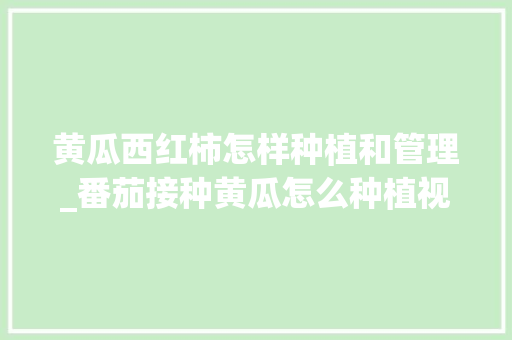黄瓜西红柿怎样种植和管理_番茄接种黄瓜怎么种植视频