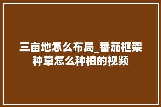 三亩地怎么布局_番茄框架种草怎么种植的视频 三亩地怎么布局_番茄框架种草怎么种植的视频 番茄种植技巧