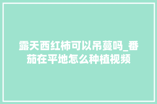 露天西红柿可以吊蔓吗_番茄在平地怎么种植视频 露天西红柿可以吊蔓吗_番茄在平地怎么种植视频 植物种类