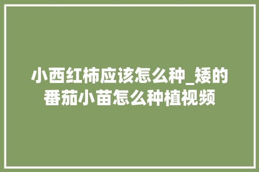 小西红柿应该怎么种_矮的番茄小苗怎么种植视频 小西红柿应该怎么种_矮的番茄小苗怎么种植视频 农业常识