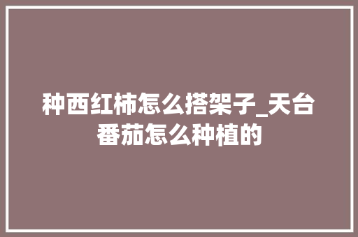 种西红柿怎么搭架子_天台番茄怎么种植的