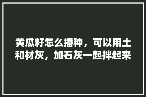 黄瓜籽怎么播种,可以用土和材灰,加石灰一起拌起来播种吗_黄瓜番茄籽怎么种植视频 番茄种植技巧 黄瓜籽怎么播种,可以用土和材灰,加石灰一起拌起来播种吗_黄瓜番茄籽怎么种植视频 黄瓜籽怎么播种,可以用土和材灰,加石灰一起拌起来播种吗_黄瓜番茄籽怎么种植视频 番茄种植技巧