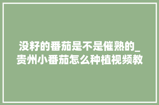 没籽的番茄是不是催熟的_贵州小番茄怎么种植视频教程 没籽的番茄是不是催熟的_贵州小番茄怎么种植视频教程 植物种类