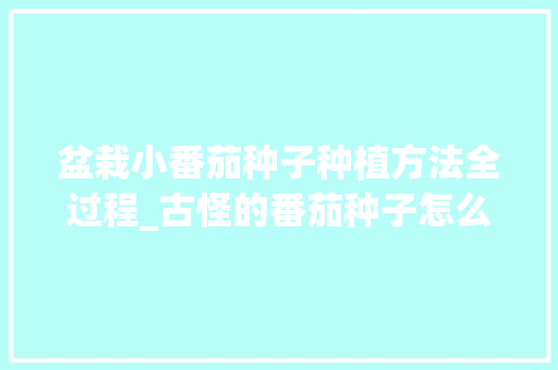 盆栽小番茄种子种植方法全过程_古怪的番茄种子怎么种植的 盆栽小番茄种子种植方法全过程_古怪的番茄种子怎么种植的 种植技巧