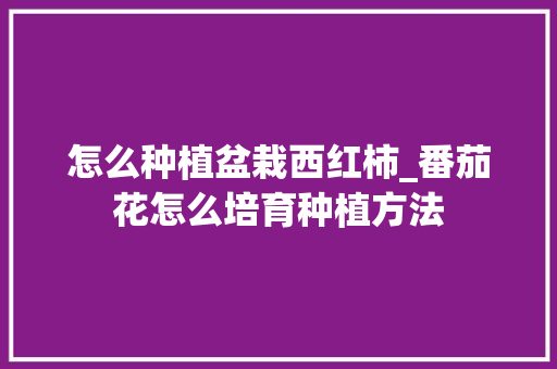 怎么种植盆栽西红柿_番茄花怎么培育种植方法 怎么种植盆栽西红柿_番茄花怎么培育种植方法 植物种类