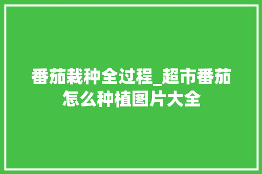 番茄栽种全过程_超市番茄怎么种植图片大全 番茄栽种全过程_超市番茄怎么种植图片大全 植物种类