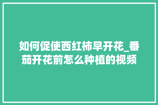 如何促使西红柿早开花_番茄开花前怎么种植的视频 如何促使西红柿早开花_番茄开花前怎么种植的视频 农业常识