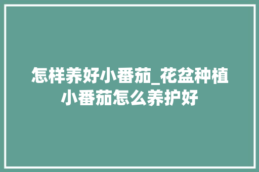 怎样养好小番茄_花盆种植小番茄怎么养护好 怎样养好小番茄_花盆种植小番茄怎么养护好 种植技巧