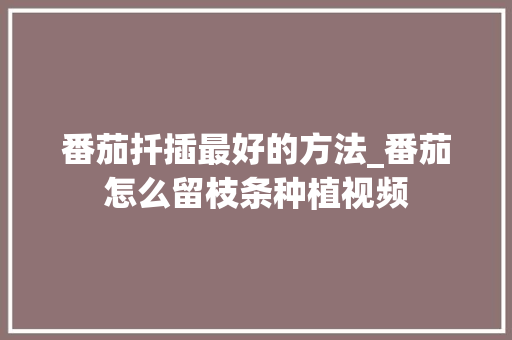 番茄扦插最好的方法_番茄怎么留枝条种植视频