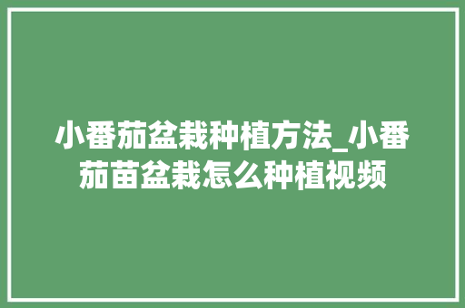 小番茄盆栽种植方法_小番茄苗盆栽怎么种植视频 小番茄盆栽种植方法_小番茄苗盆栽怎么种植视频 番茄病虫害防治