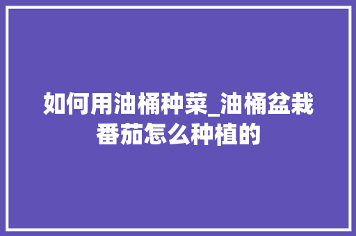 如何用油桶种菜_油桶盆栽番茄怎么种植的