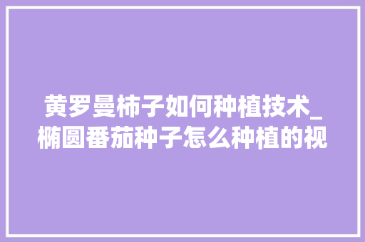 黄罗曼柿子如何种植技术_椭圆番茄种子怎么种植的视频