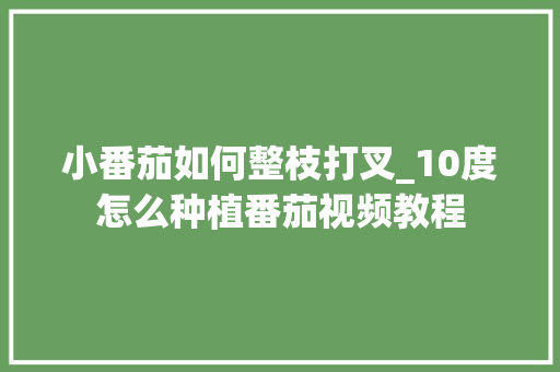 小番茄如何整枝打叉_10度怎么种植番茄视频教程