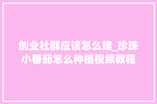 创业社群应该怎么建_珍珠小番茄怎么种植视频教程 创业社群应该怎么建_珍珠小番茄怎么种植视频教程 种植技巧