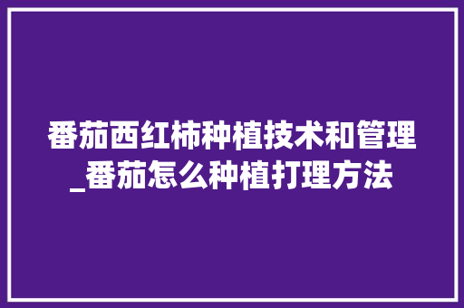 番茄西红柿种植技术和管理_番茄怎么种植打理方法 番茄西红柿种植技术和管理_番茄怎么种植打理方法 植物种类