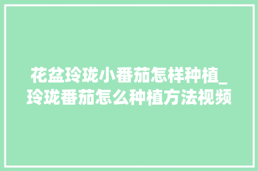 花盆玲珑小番茄怎样种植_玲珑番茄怎么种植方法视频 花盆玲珑小番茄怎样种植_玲珑番茄怎么种植方法视频 花朵知识
