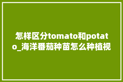 怎样区分tomato和potato_海洋番茄种苗怎么种植视频 农业常识 怎样区分tomato和potato_海洋番茄种苗怎么种植视频 怎样区分tomato和potato_海洋番茄种苗怎么种植视频 农业常识