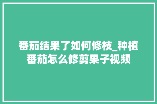 番茄结果了如何修枝_种植番茄怎么修剪果子视频 番茄结果了如何修枝_种植番茄怎么修剪果子视频 农业常识