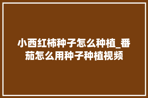 小西红柿种子怎么种植_番茄怎么用种子种植视频 小西红柿种子怎么种植_番茄怎么用种子种植视频 番茄种植技巧