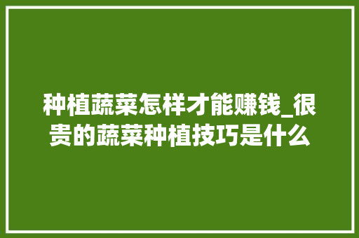 种植蔬菜怎样才能赚钱_很贵的蔬菜种植技巧是什么 种植蔬菜怎样才能赚钱_很贵的蔬菜种植技巧是什么 土壤施肥