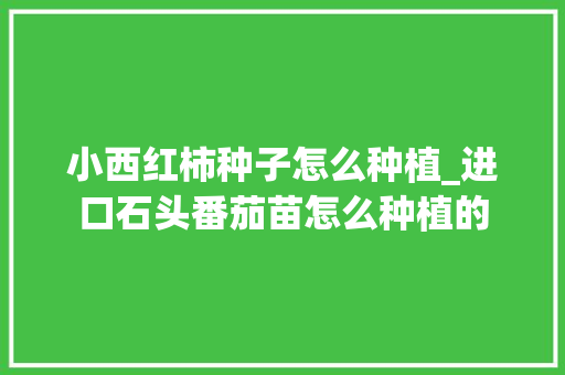 小西红柿种子怎么种植_进口石头番茄苗怎么种植的 植物种类 小西红柿种子怎么种植_进口石头番茄苗怎么种植的 小西红柿种子怎么种植_进口石头番茄苗怎么种植的 植物种类