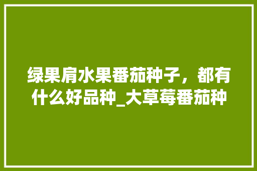 绿果肩水果番茄种子，都有什么好品种_大草莓番茄种子怎么种植视频