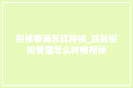 樱桃番茄怎样种植_盆栽樱桃番茄怎么种植视频