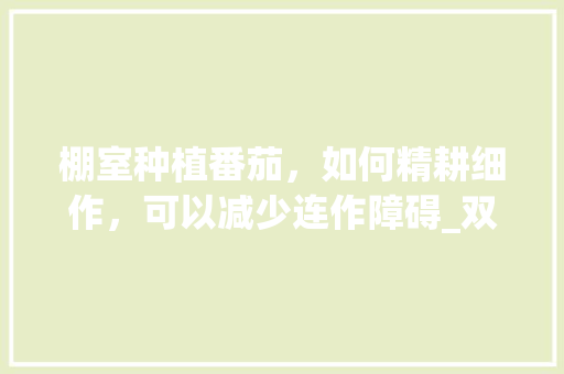 棚室种植番茄，如何精耕细作，可以减少连作障碍_双棚番茄怎么种植方法视频 棚室种植番茄，如何精耕细作，可以减少连作障碍_双棚番茄怎么种植方法视频 农业常识