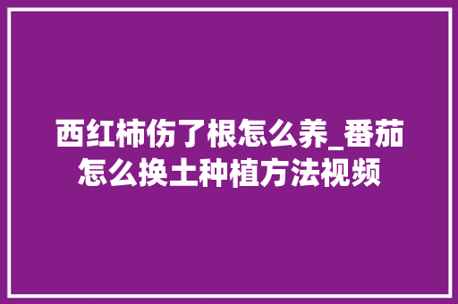 西红柿伤了根怎么养_番茄怎么换土种植方法视频 西红柿伤了根怎么养_番茄怎么换土种植方法视频 番茄病虫害防治