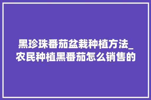黑珍珠番茄盆栽种植方法_农民种植黑番茄怎么销售的 黑珍珠番茄盆栽种植方法_农民种植黑番茄怎么销售的 番茄种植技巧