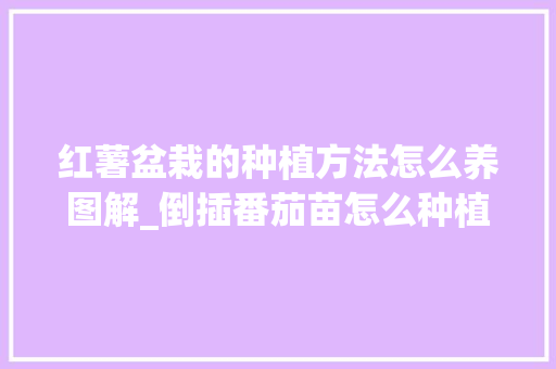 红薯盆栽的种植方法怎么养图解_倒插番茄苗怎么种植呢视频 花朵知识 红薯盆栽的种植方法怎么养图解_倒插番茄苗怎么种植呢视频 红薯盆栽的种植方法怎么养图解_倒插番茄苗怎么种植呢视频 花朵知识
