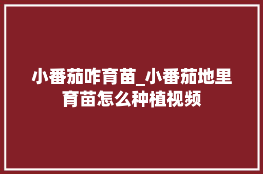小番茄咋育苗_小番茄地里育苗怎么种植视频
