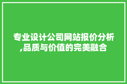 专业设计公司网站报价分析,品质与价值的完美融合