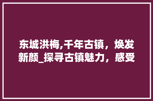 东城洪梅,千年古镇，焕发新颜_探寻古镇魅力，感受文化传承