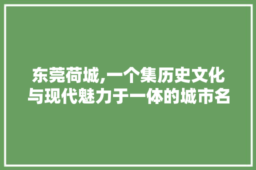 东莞荷城,一个集历史文化与现代魅力于一体的城市名片
