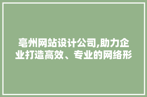亳州网站设计公司,助力企业打造高效、专业的网络形象