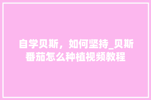 自学贝斯，如何坚持_贝斯番茄怎么种植视频教程