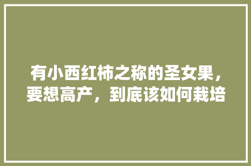 有小西红柿之称的圣女果，要想高产，到底该如何栽培_种植小番茄怎么保养好 有小西红柿之称的圣女果，要想高产，到底该如何栽培_种植小番茄怎么保养好 番茄病虫害防治