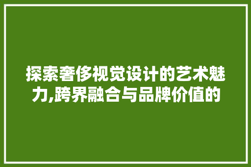 探索奢侈视觉设计的艺术魅力,跨界融合与品牌价值的提升