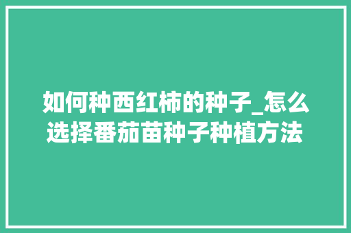 如何种西红柿的种子_怎么选择番茄苗种子种植方法 如何种西红柿的种子_怎么选择番茄苗种子种植方法 番茄种植技巧