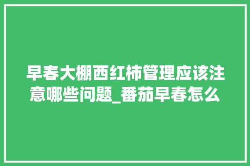 早春大棚西红柿管理应该注意哪些问题_番茄早春怎么种植视频