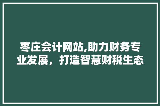 枣庄会计网站,助力财务专业发展，打造智慧财税生态圈