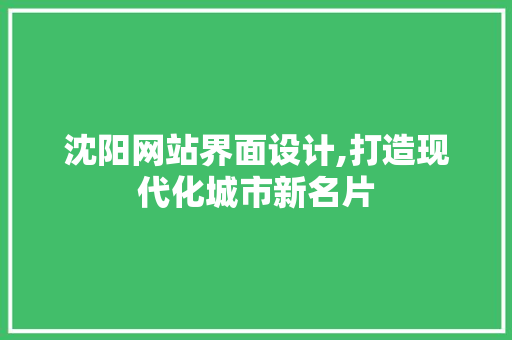 沈阳网站界面设计,打造现代化城市新名片