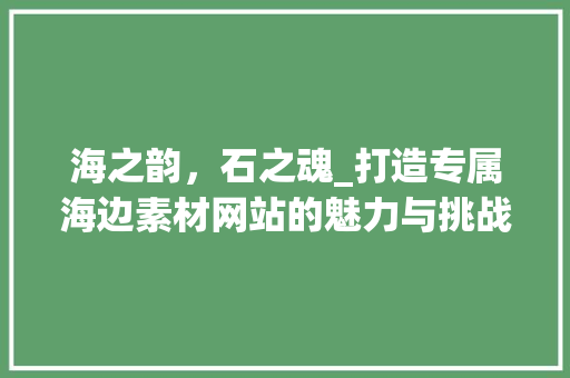 海之韵，石之魂_打造专属海边素材网站的魅力与挑战