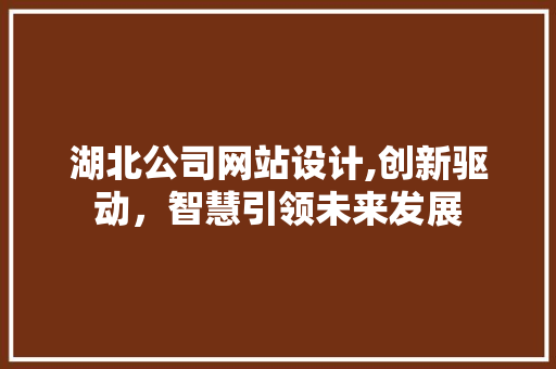 湖北公司网站设计,创新驱动，智慧引领未来发展