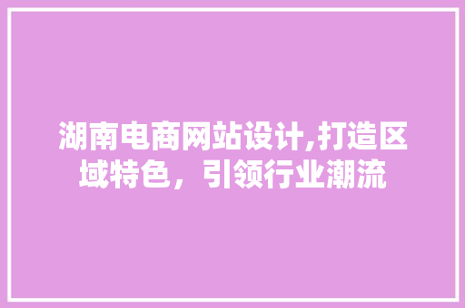 湖南电商网站设计,打造区域特色，引领行业潮流