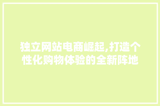 独立网站电商崛起,打造个性化购物体验的全新阵地