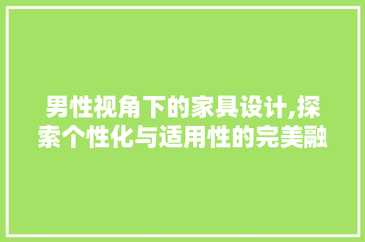 男性视角下的家具设计,探索个性化与适用性的完美融合