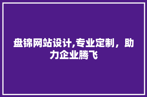 盘锦网站设计,专业定制，助力企业腾飞