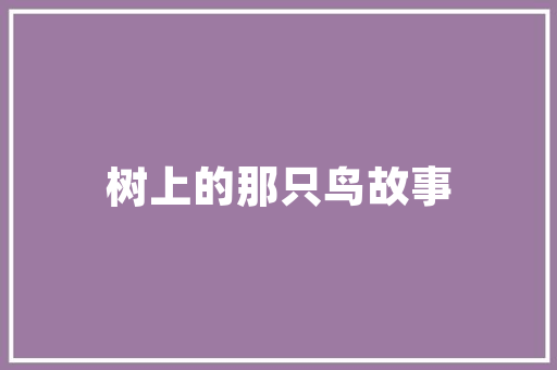 幕布电影设计,艺术与技术的完美融合